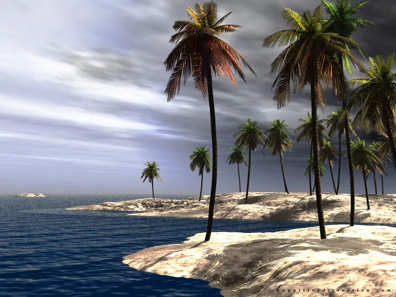 Northpoint wallpaper