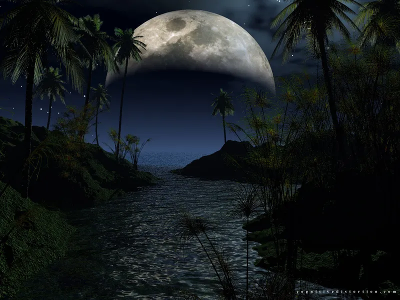 Midnight Cove wallpaper
