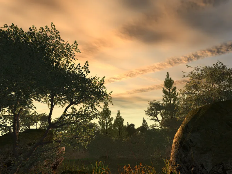 Clearing wallpaper