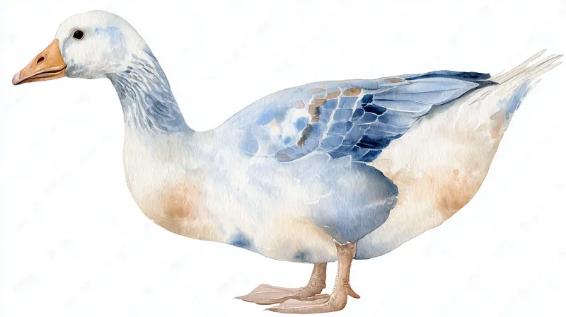 Watercolor Goose in Blue and White wallpaper