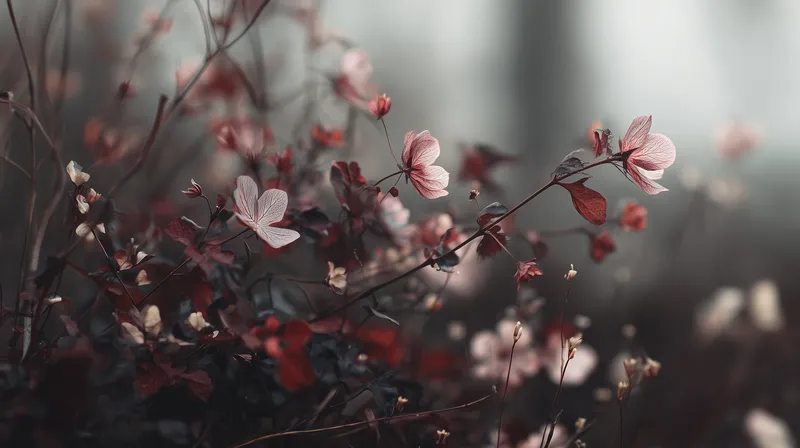 Crimson Bloom Reverie wallpaper