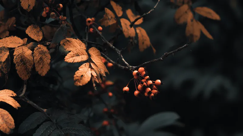 Autumn Embers wallpaper