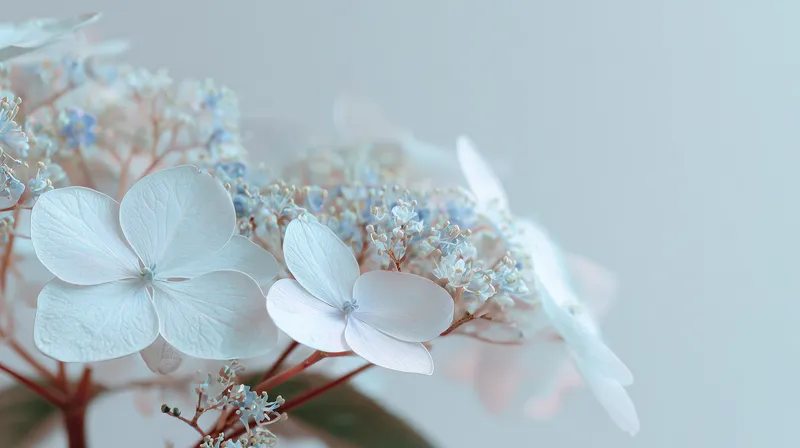 Whisper in White wallpaper